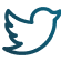 Icône Twitter